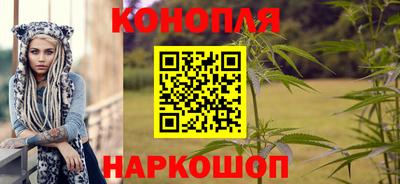гидропоника Канаш