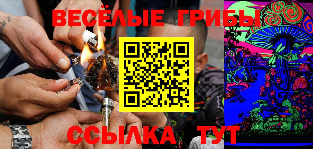 Псилоцибиновые грибы GOLDEN TEACHER Красногорск